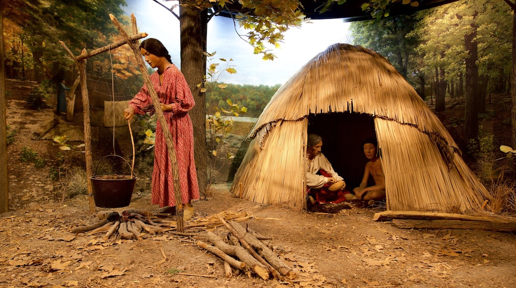 พิพิธภัณฑ์ธรรมชาติวิทยาไอโอวา เนื้อเรื่องที่ การตกแต่งภายใน