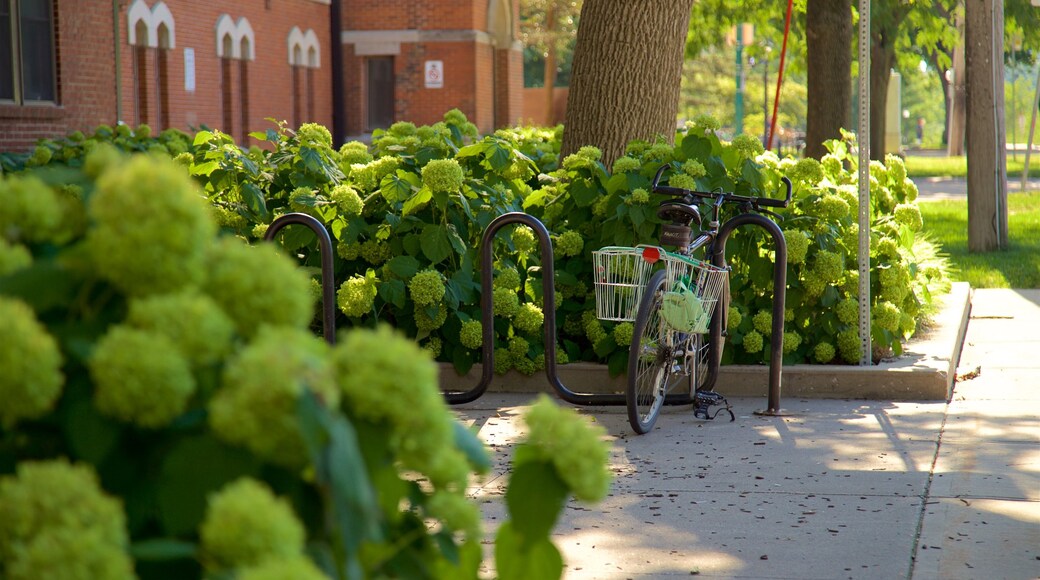 Iowa City featuring a garden