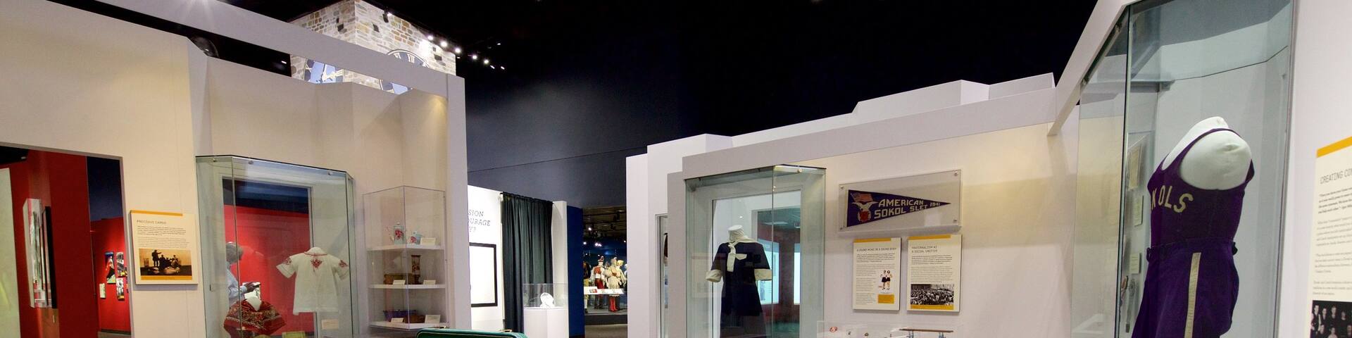 National Czech and Slovak Museum and Library which includes interior views