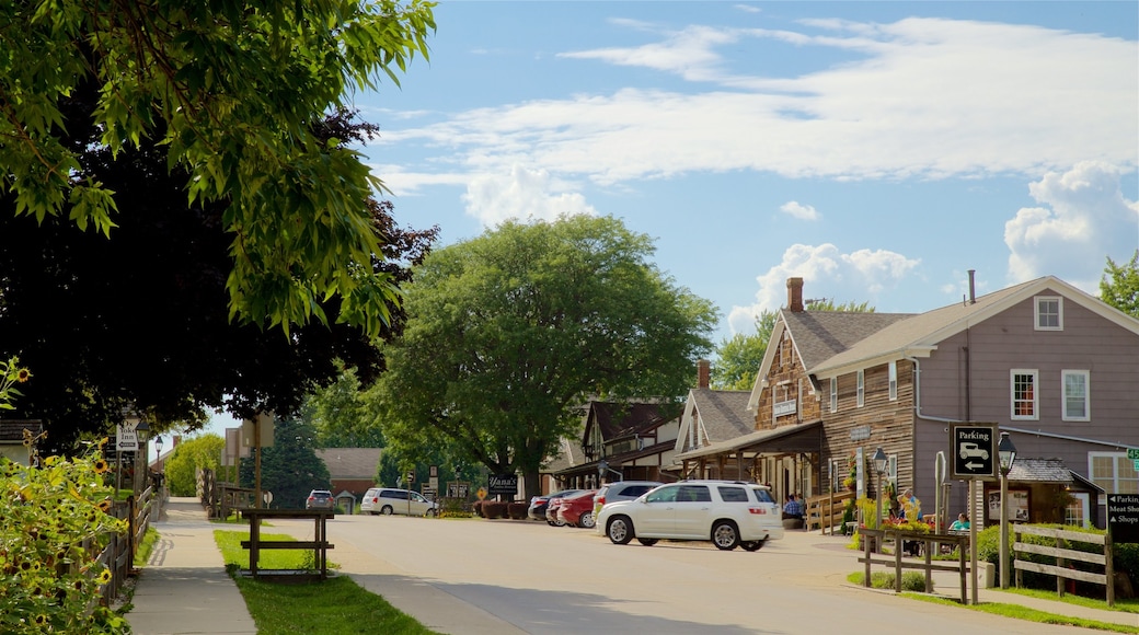 Amana Colonies che include casa e piccola città o villaggio