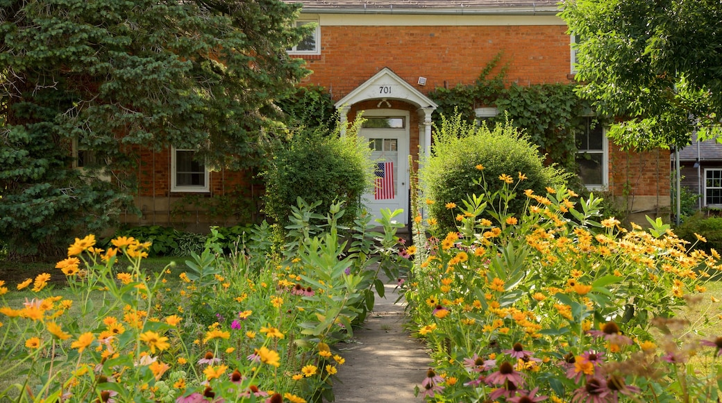 Amana Colonies que incluye flores salvajes y una casa