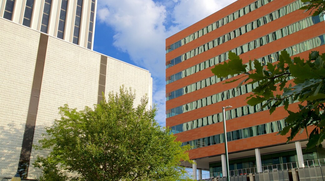 Cedar Rapids - Iowa City showing a city