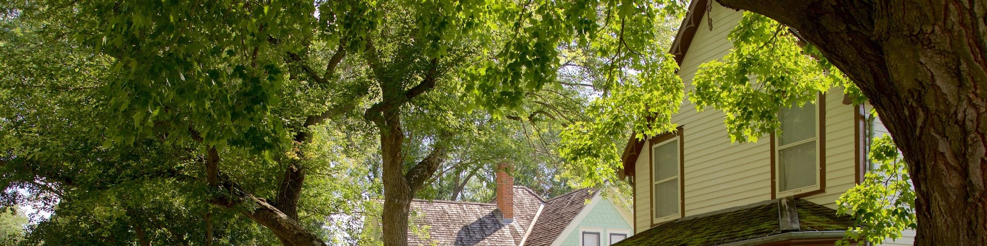 Herbert Hoover National Historic Site featuring a small town or village and a house