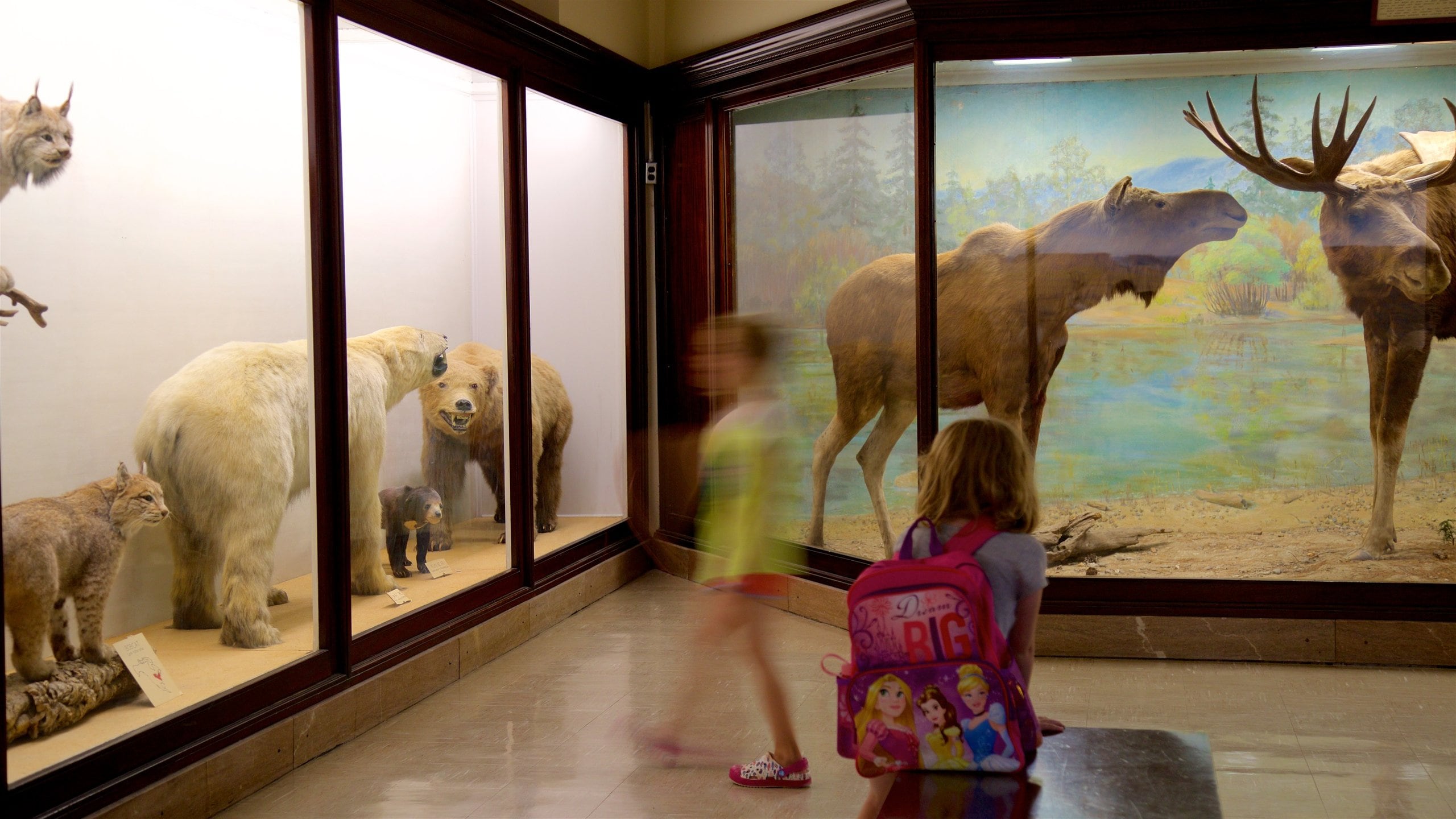 Iowa Museum of Natural History showing interior views as well as children