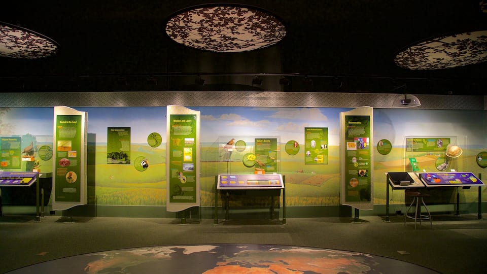 Iowa Museum of Natural History showing interior views