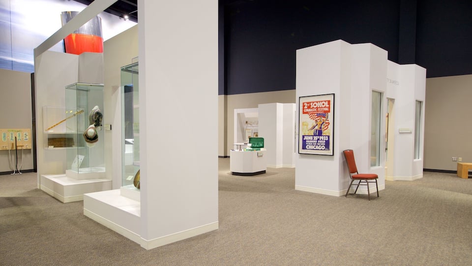 National Czech and Slovak Museum and Library featuring interior views and heritage elements