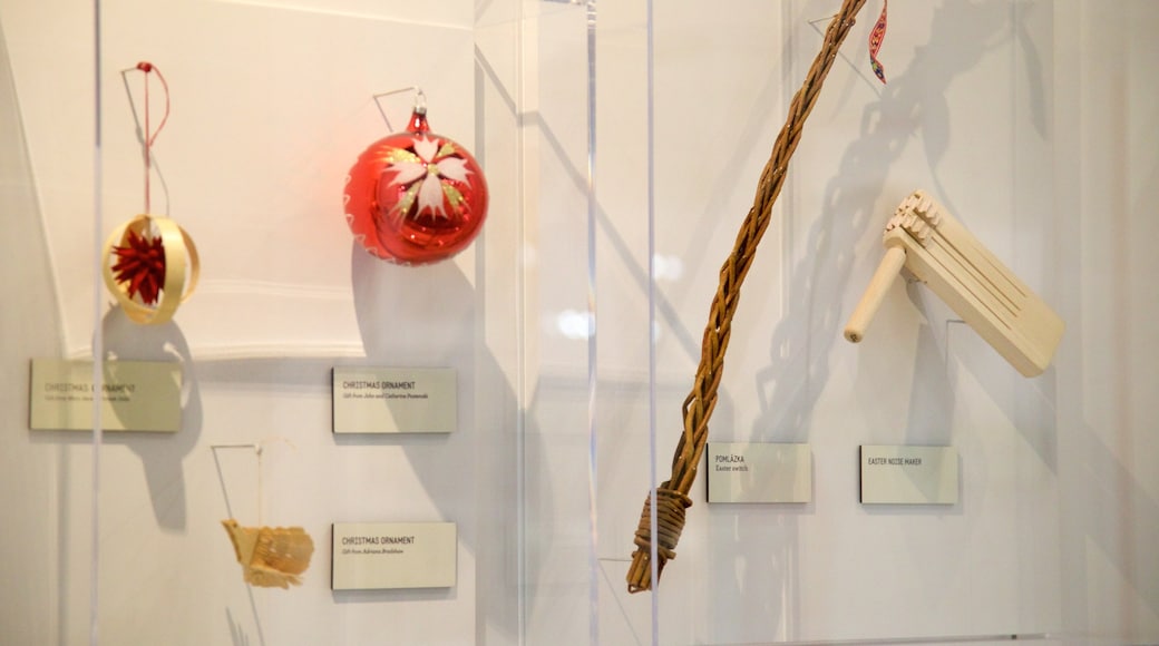 National Czech and Slovak Museum and Library showing interior views and heritage elements