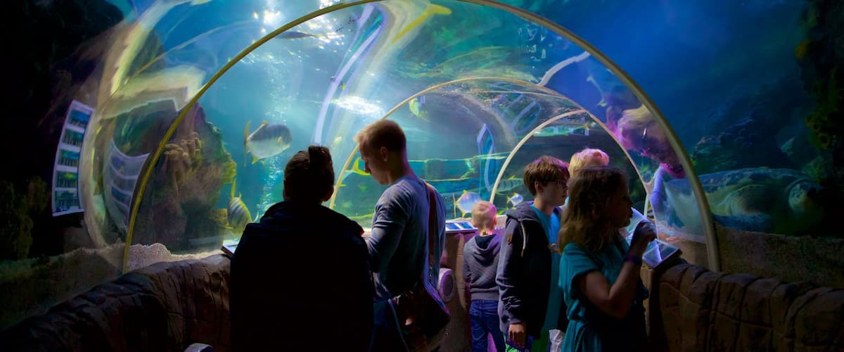 SEA LIFE Timmendorfer Strand joka esittää merielämä ja sisäkuvat sekä pieni ryhmä ihmisiä