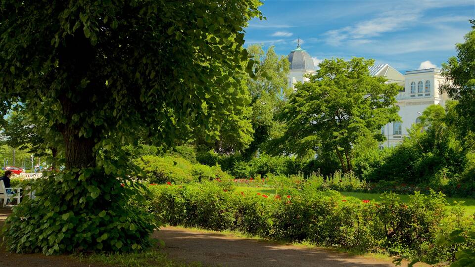 Rostock ofreciendo un parque