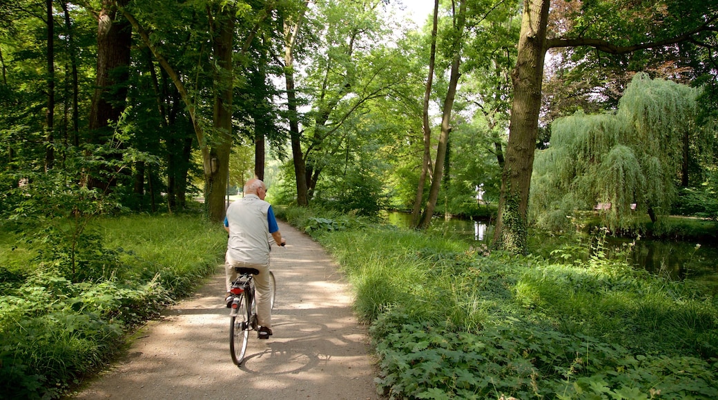 Schloss Wolfsburg toont fietsen en een park en ook een man