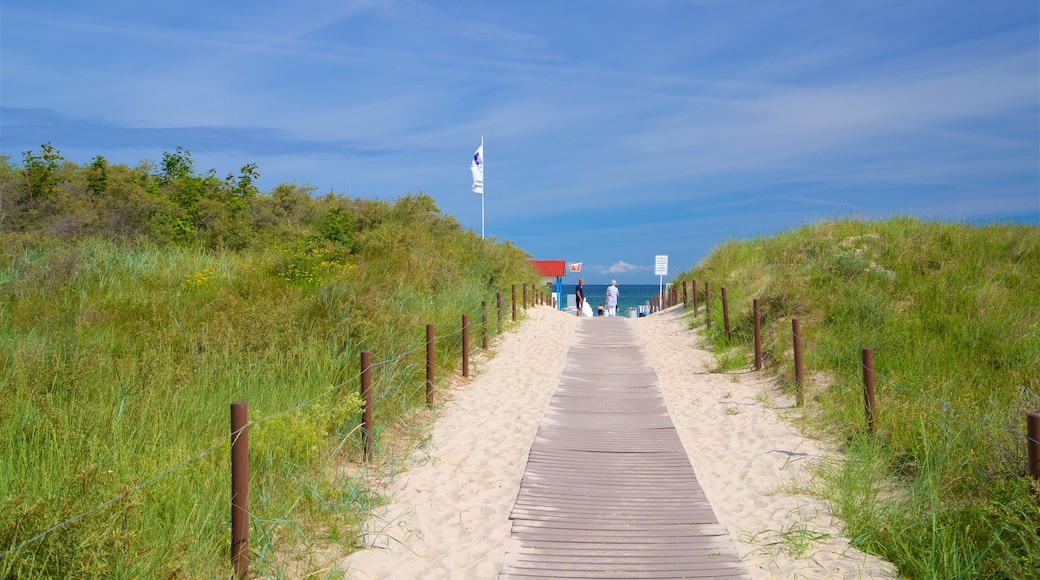 Playa Warnemünde ofreciendo una playa de arena y vistas generales de la costa