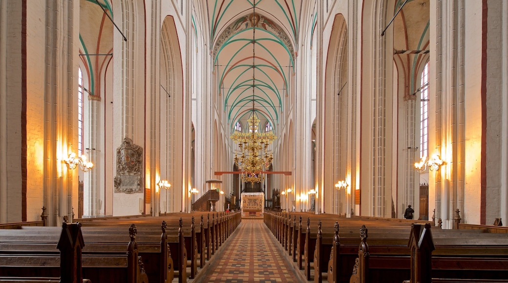 Catedral de Schwerin que incluye elementos del patrimonio, vistas interiores y una iglesia o catedral