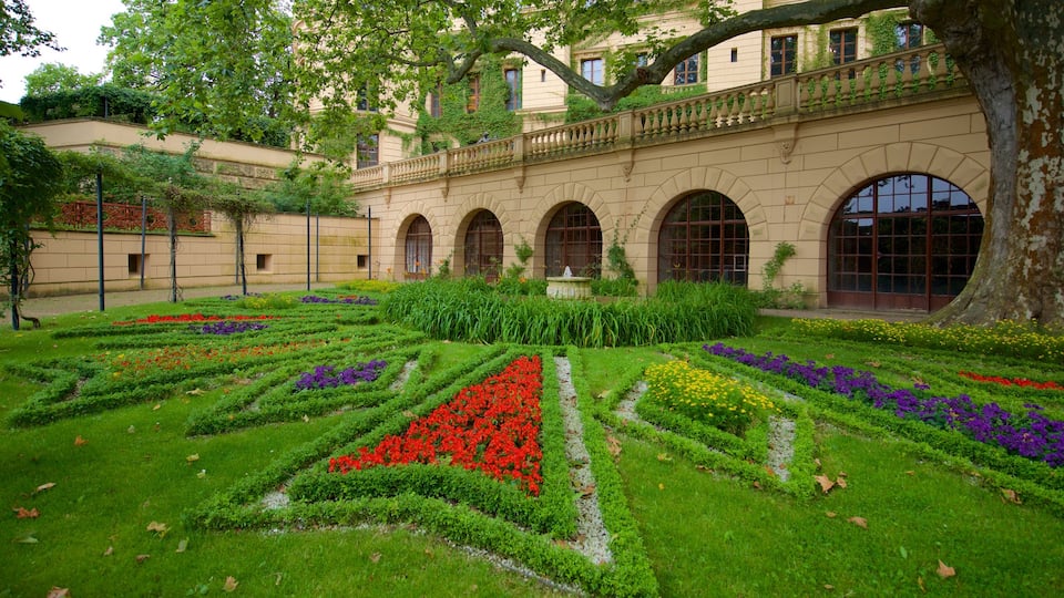 Château de Schwerin qui includes fleurs, jardin et patrimoine historique