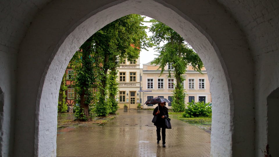 Schwerin montrant vues intérieures aussi bien que femme