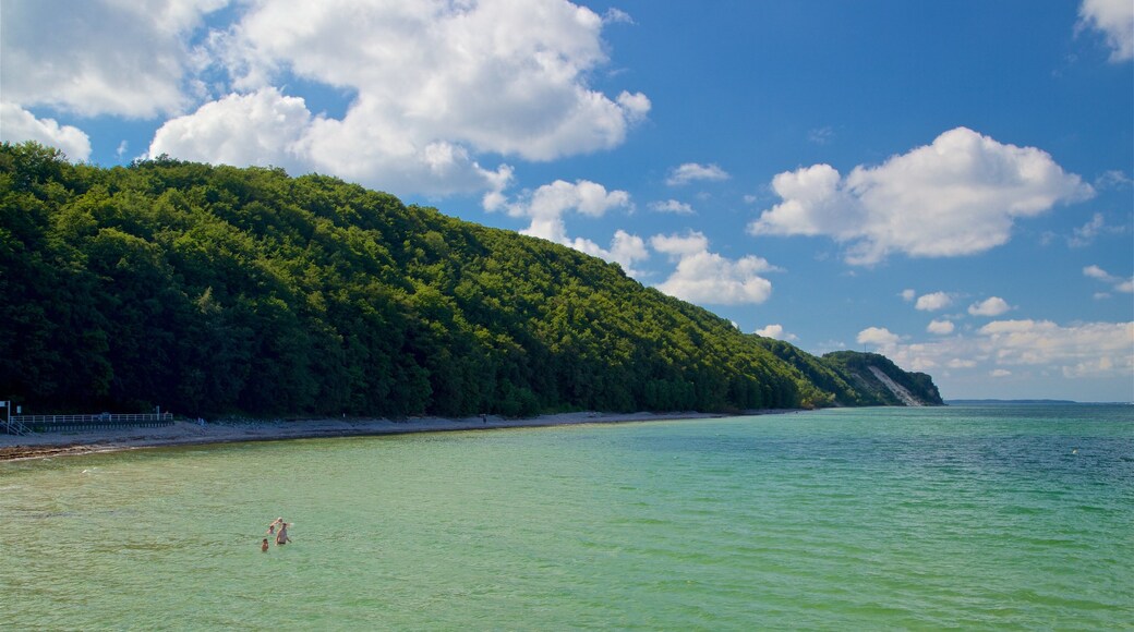 Sellin Pier which includes swimming, general coastal views and tropical scenes