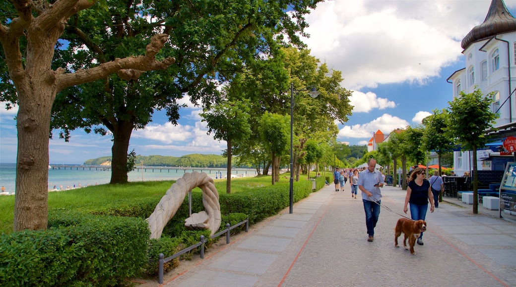 Ostseebad Binz which includes cuddly or friendly animals, street scenes and general coastal views