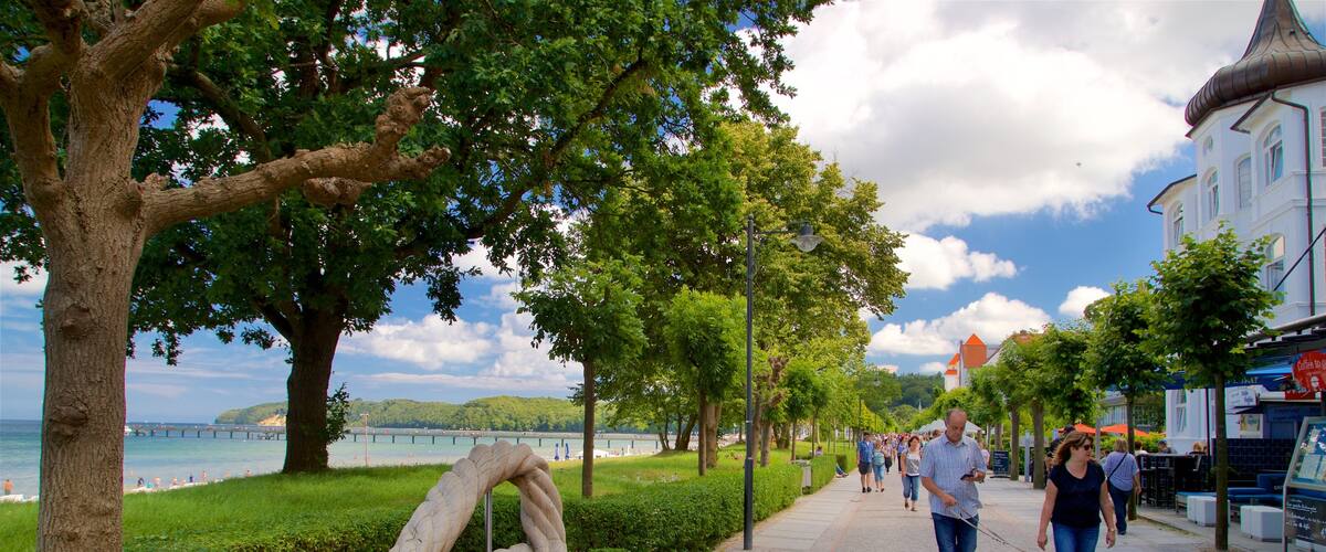 Ostseebad Binz caracterizando paisagens litorâneas, cenas de rua e animais fofos ou amigáveis