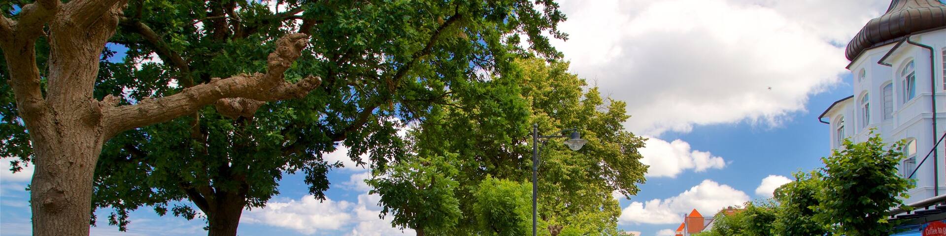 Ostseebad Binz which includes general coastal views, street scenes and cuddly or friendly animals