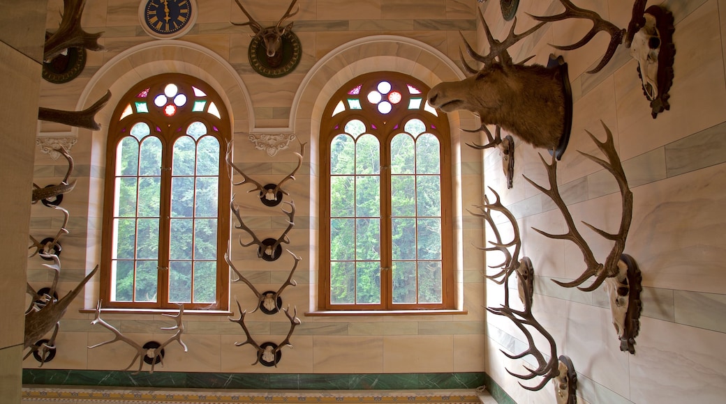 Jagdschloss Granitz bevat interieur