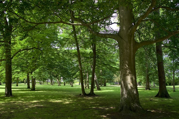 Warnemünder Kurpark welches beinhaltet Park