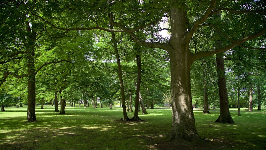Warnemuende Kur Park showing a garden