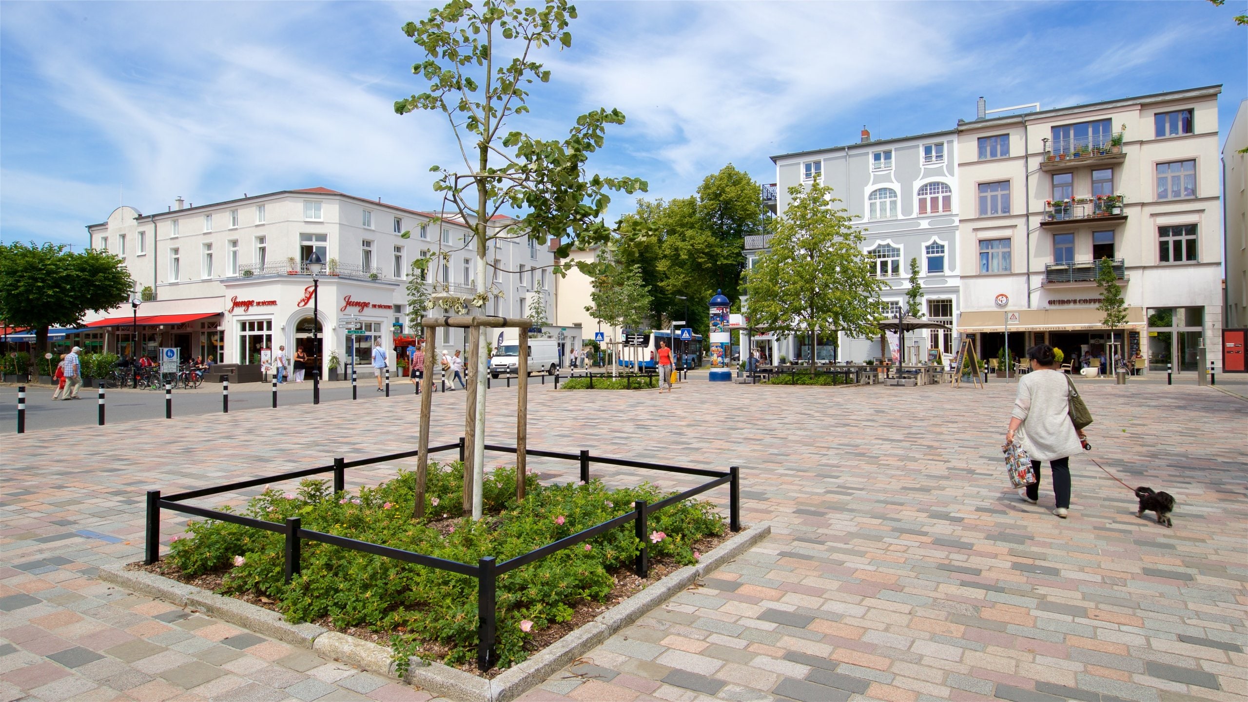 Warnemuende showing cuddly or friendly animals, street scenes and a square or plaza