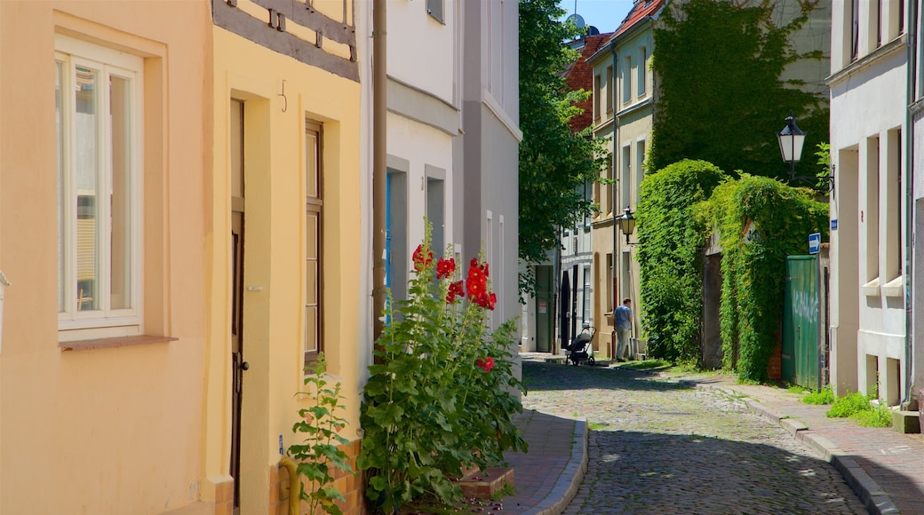 Wismar which includes wild flowers