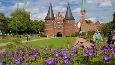 Museum Holstentor featuring heritage architecture and wildflowers as well as a small group of people