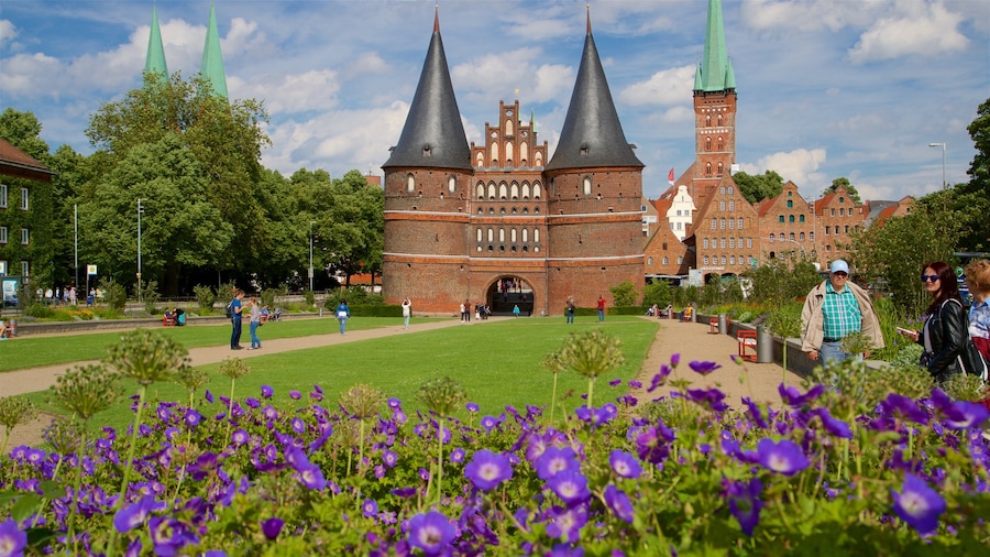 Museum Holstentor which includes heritage architecture and wild flowers as well as a small group of people