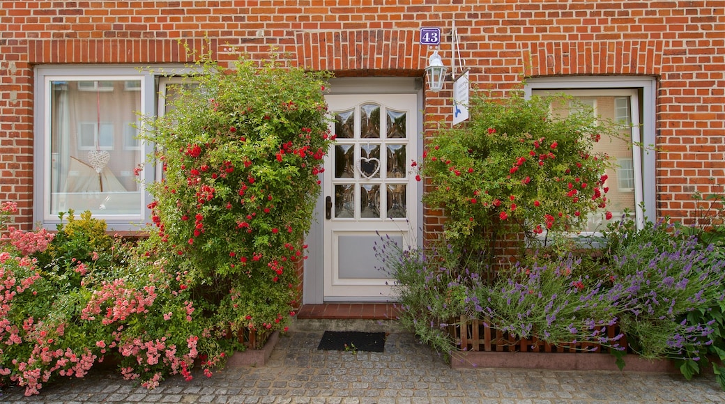 Travemünde som inkluderer hus og villblomster