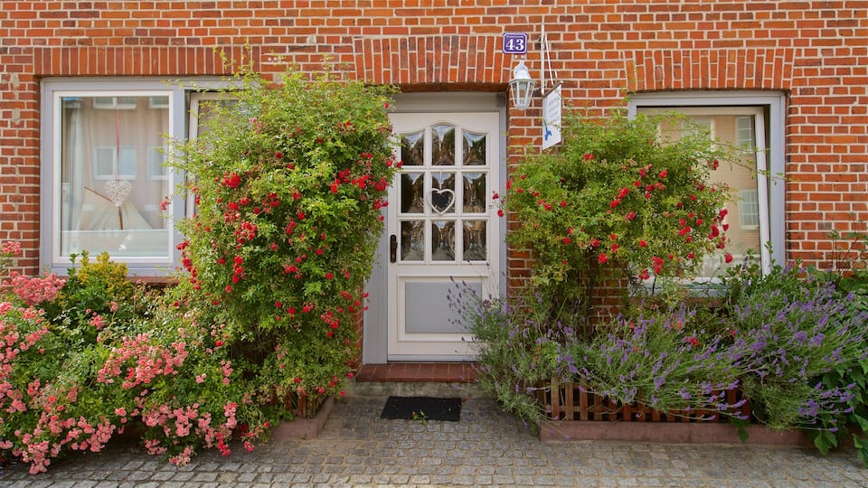 Travemuende featuring a house and wildflowers