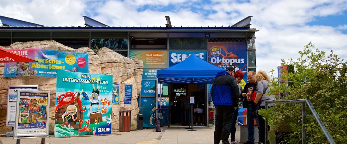 Aquarium SEA LIFE Timmendorfer Strand mettant en vedette signalisation aussi bien que petit groupe de personnes