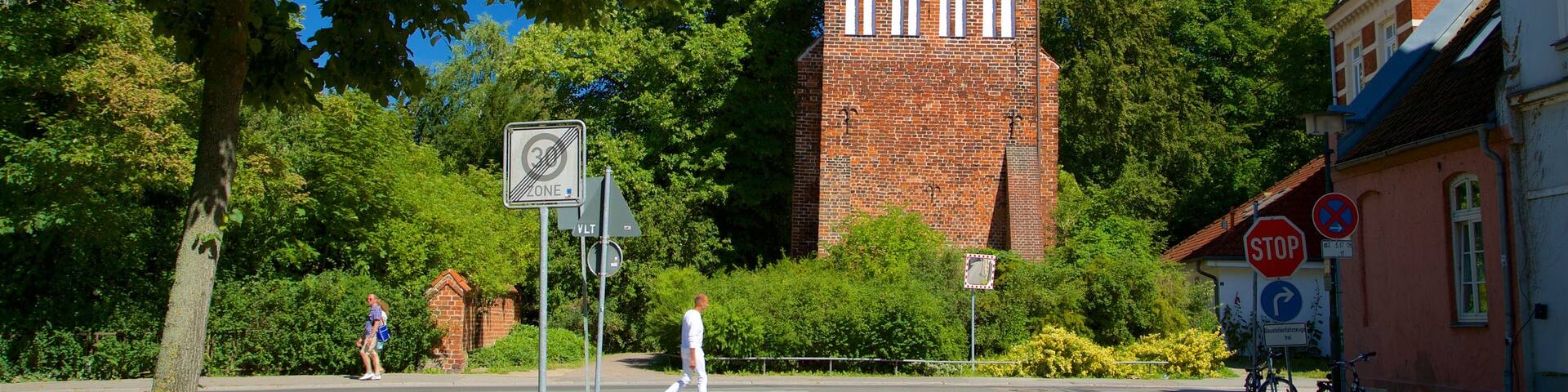 Alte Wasserturm showing heritage elements
