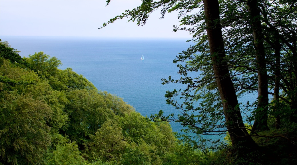 Parc national de Jasmund montrant voile et vues littorales