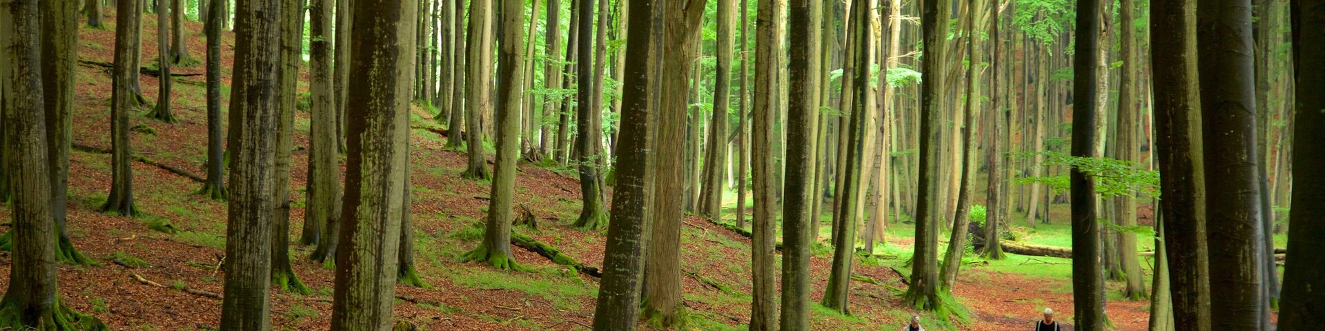 ザスニッツ, メクレンブルク=フォアポンメルン, ドイツ