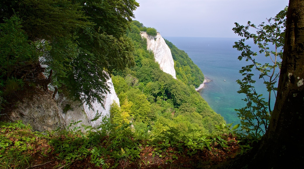 Jasmund nationalpark som visar klippig kustlinje och kustutsikter