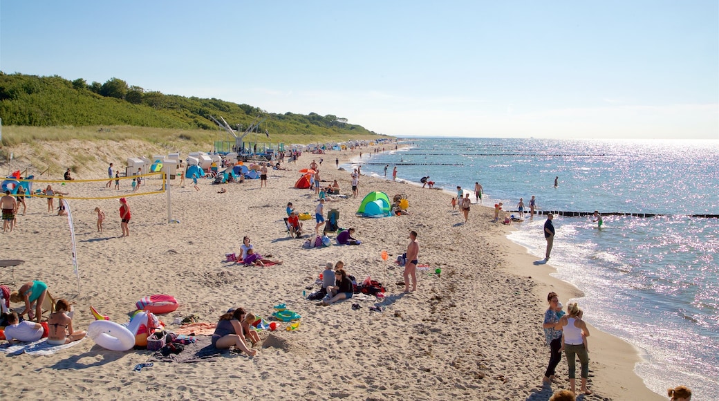 Graal-Müritz welches beinhaltet Strand und allgemeine Küstenansicht sowie große Menschengruppe