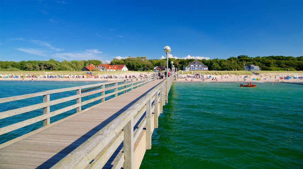 Graal Mueritz showing general coastal views