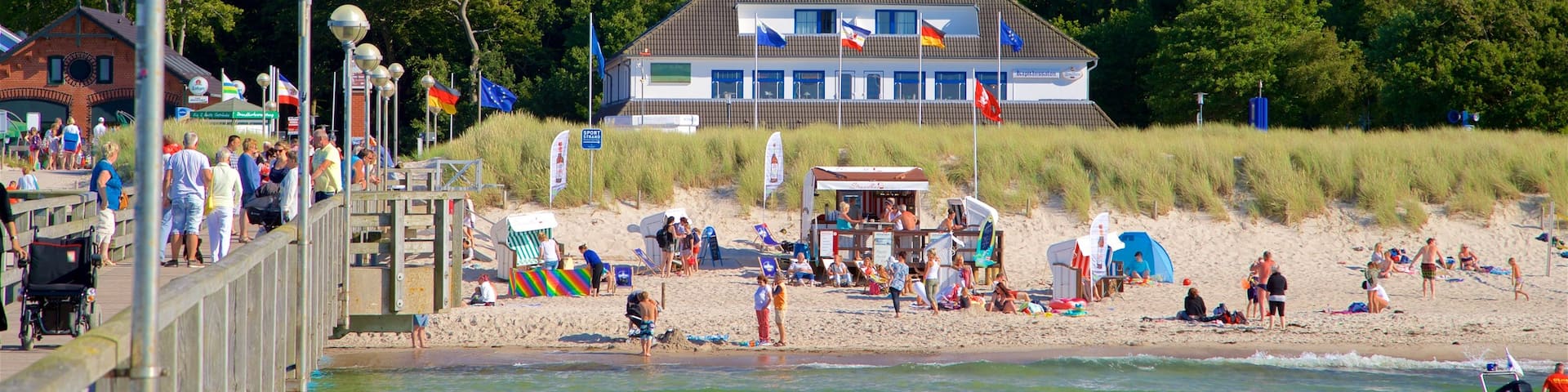 Graal-Müritz welches beinhaltet Sandstrand und allgemeine Küstenansicht sowie kleine Menschengruppe