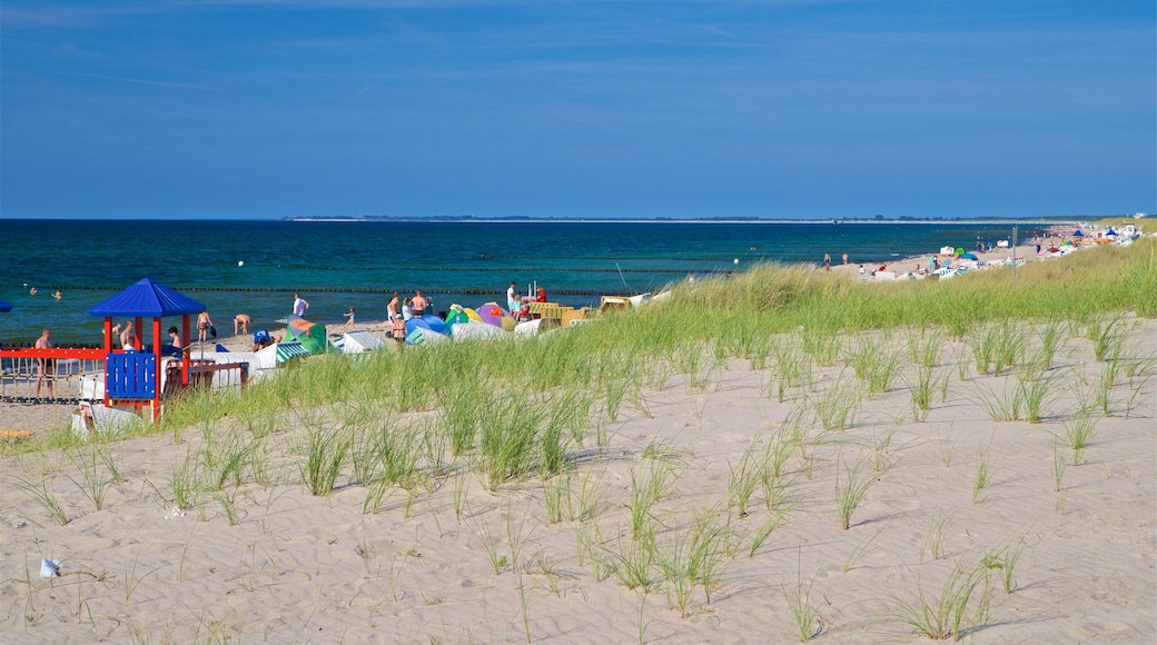 Graal Mueritz mostrando vista della costa e spiaggia cosi come un piccolo gruppo di persone