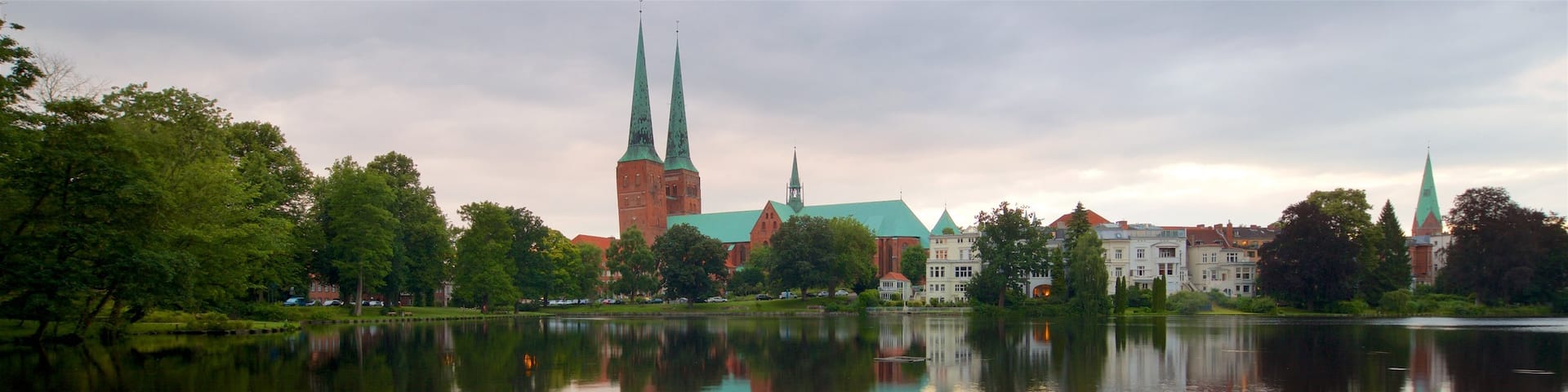 Dom featuring a pond