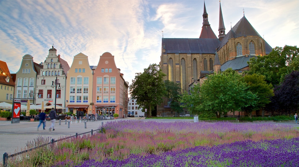 Marienkirche showing heritage architecture, wild flowers and a park