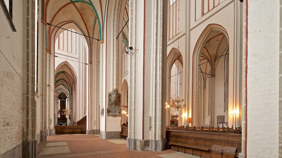 Schwerins katedral presenterar historiska element, en kyrka eller katedral och interiörer