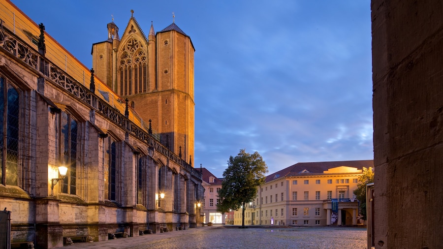 Brunswick Cathedral showing a square or plaza, a church or cathedral and night scenes