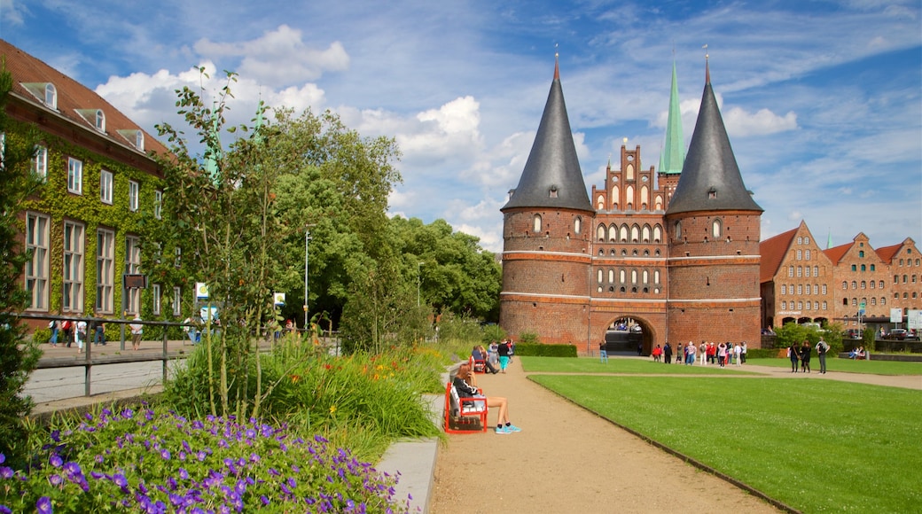 Museum Holstentor featuring heritage architecture, wildflowers and a park