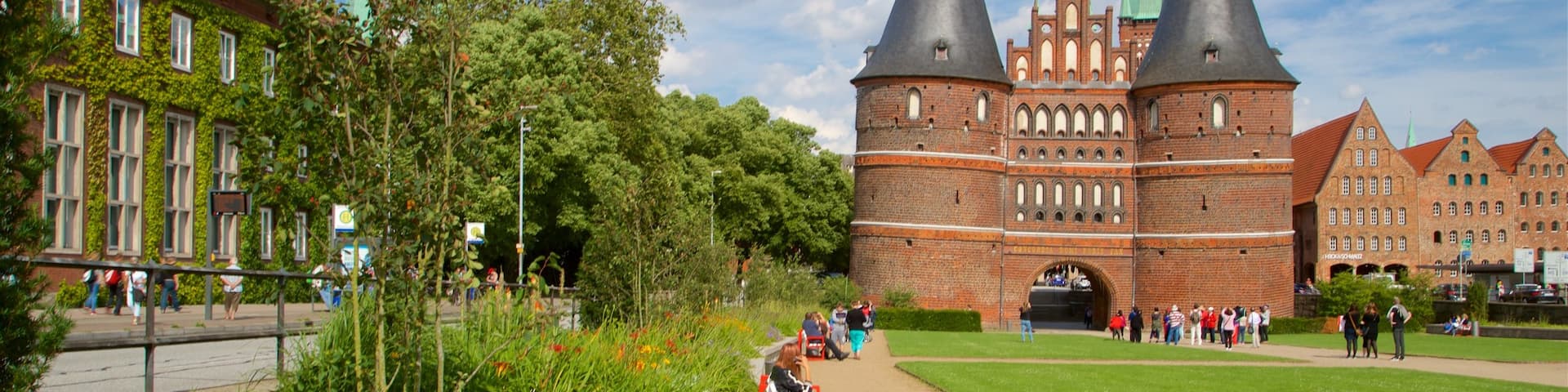 Museum Holstentor mettant en vedette fleurs sauvages, parc et patrimoine architectural