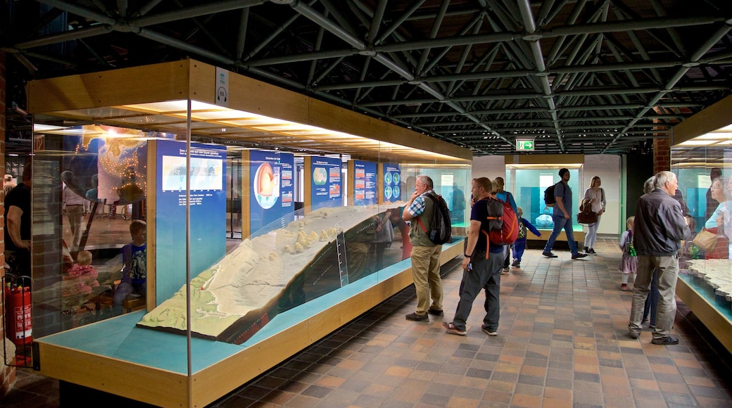 Museo Oceanográfico Alemán ofreciendo vistas interiores y también un pequeño grupo de personas