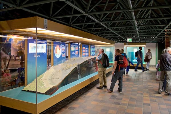 Musée océanographique Ozeaneum montrant vues intérieures aussi bien que petit groupe de personnes