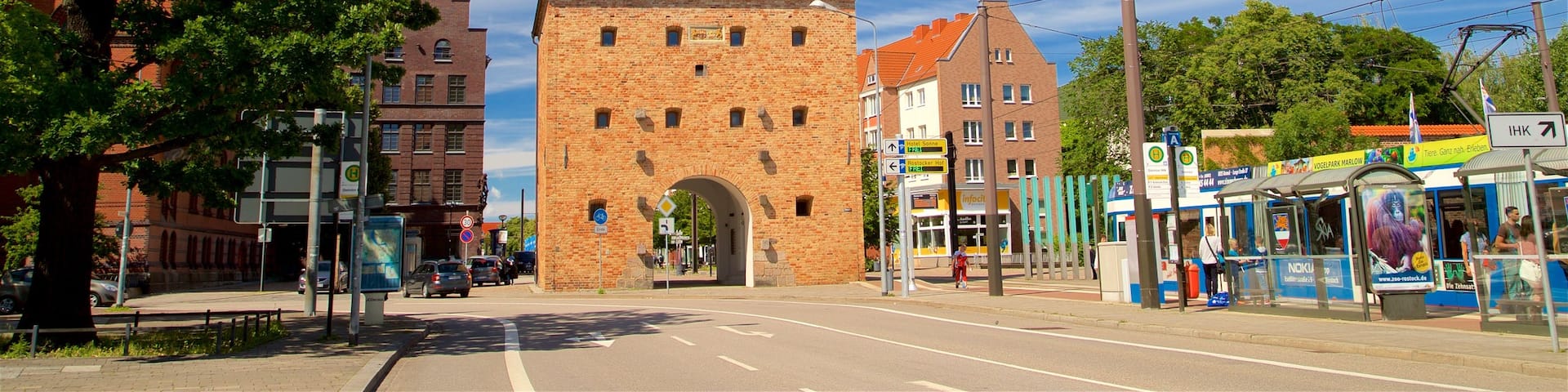 Steintor das einen historische Architektur