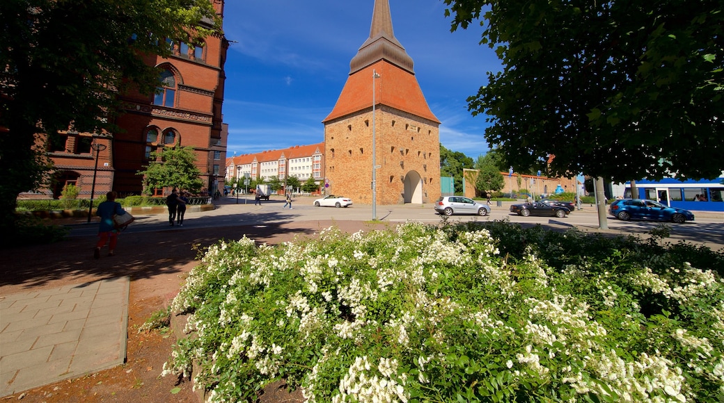 Stone Gate which includes wildflowers and heritage architecture